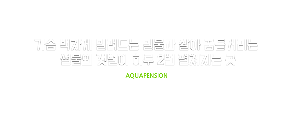 가슴벅차게 밀려드는 밀물과 살아 꿈틀거리는 썰물의 갯벌이 하루 2번 펼쳐지는 곳 AQUAPENSION