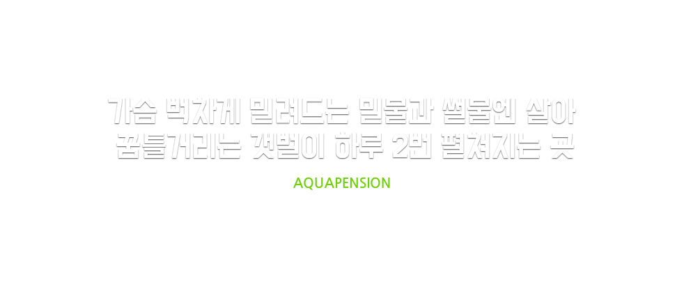 가슴 벅차게 밀려드는 밀물과  살아 꿈틀거리는 썰물의 갯벌이 하루 2번 펼쳐지는 곳 AQUAPENSION